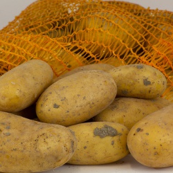 Pommes de terre Jaunes Bio "Allians" - fermes - 2,5 kg