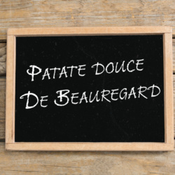 Plants de Patate douce De Beauregard
