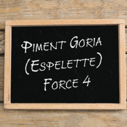 Plants de Piment Goria (Espelette) Force 4